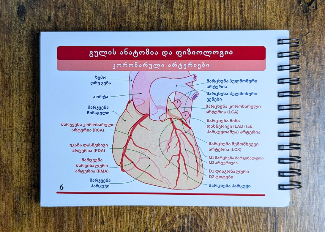 ეკგ გზამკვლევი